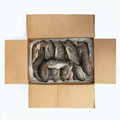 Peixe tilápia – Caixa 10 Kg
